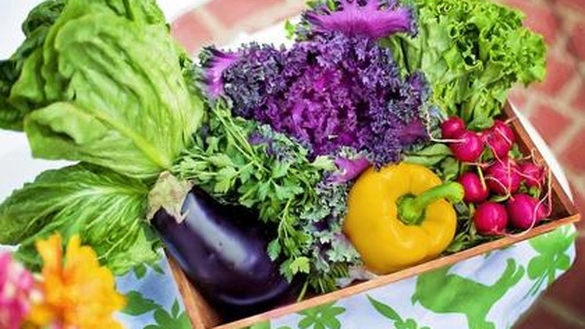 Como Disfarçar Legumes E Verduras Na Comida