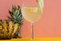 Viñocolada