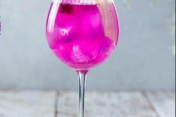 Gin tônica com Frooty pitaya