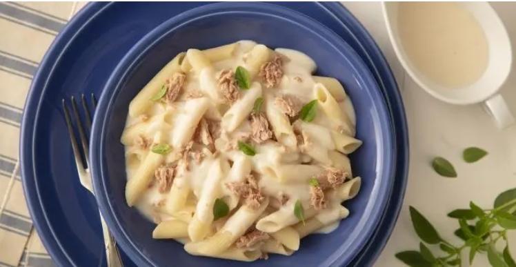 Massa ao molho branco com atum